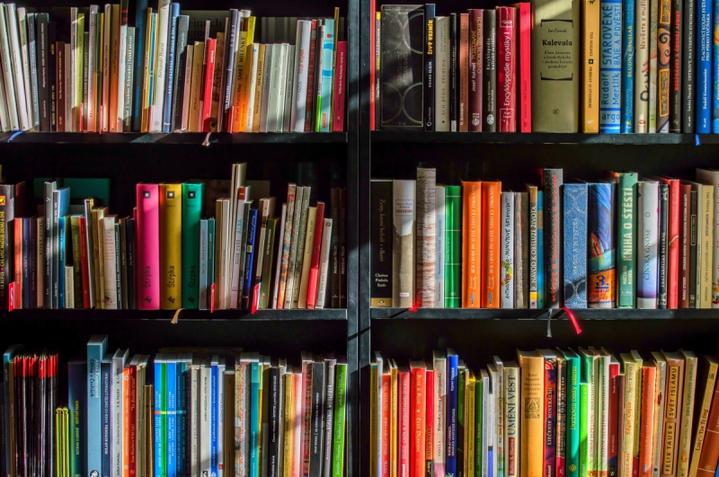 vente-LA BRIGUE-min_books_bookstore_book_reading_shop_writer_sale_books_read-822866